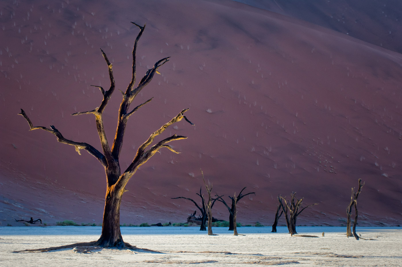 Loading Image