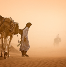 Sand_Storm_#143-2_Site1400x1000