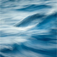 700_6263-1_Site1400x1000