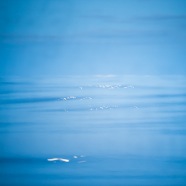 700_3556-1_Site1400x1000