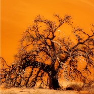 Sossusvlei_075_conv_enh_orton_Site1400x1000