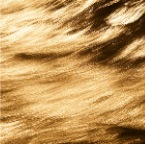 700_7118_Site1200x600