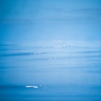 700_3556-1_Site1200x600