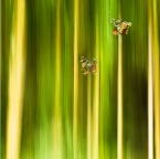 700_9354_Site1200x600