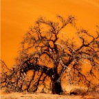 Sossusvlei_075_conv_enh_orton_Site1200x600