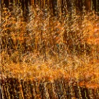 700_3569_Site1200x600
