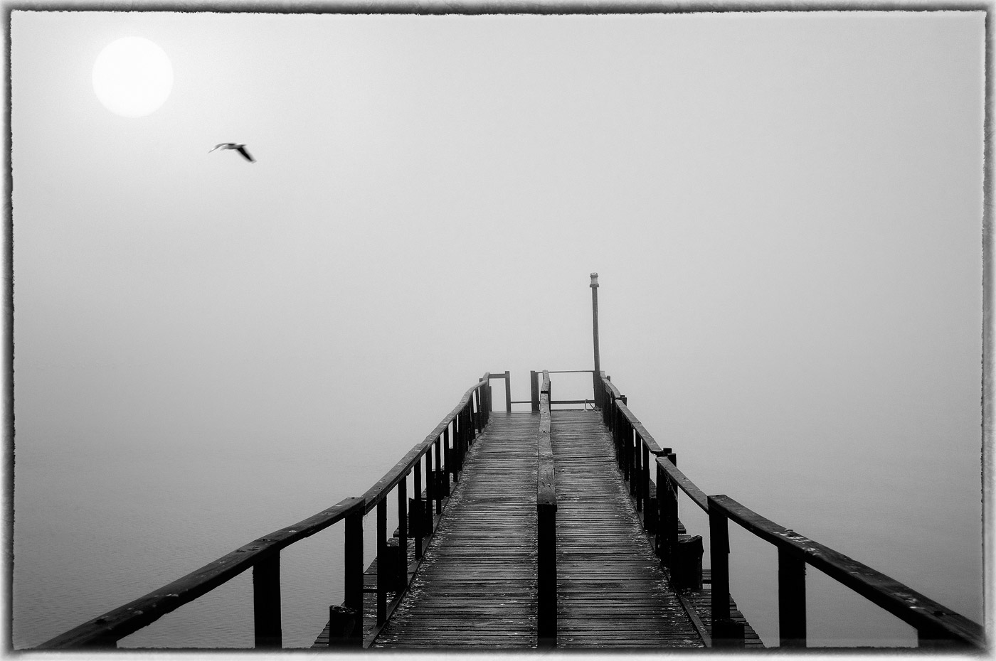 Loading Image