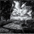 _7000631_HDR-2_Site1200x600