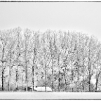 PAI_3065-3_Site1200x600