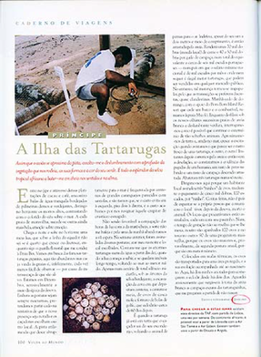 Ilha das tartarugas